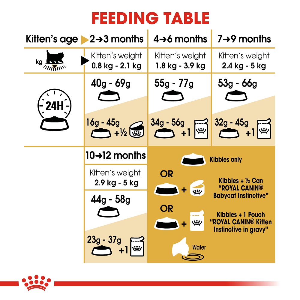 Persian kitten food outlet list